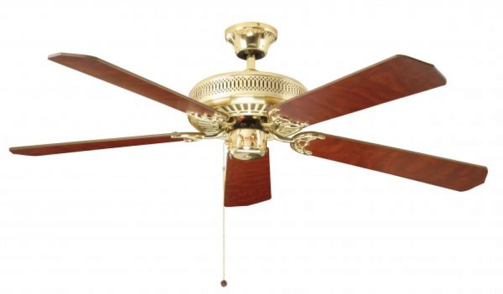 Ceiling Fans